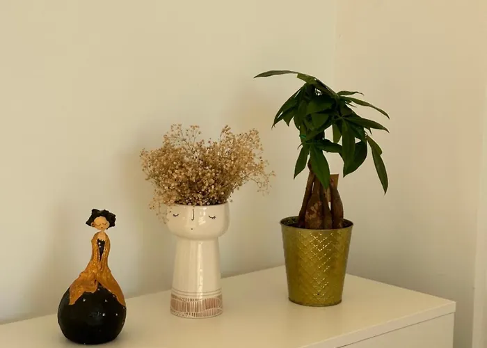 Douro Corner * 加亚新城